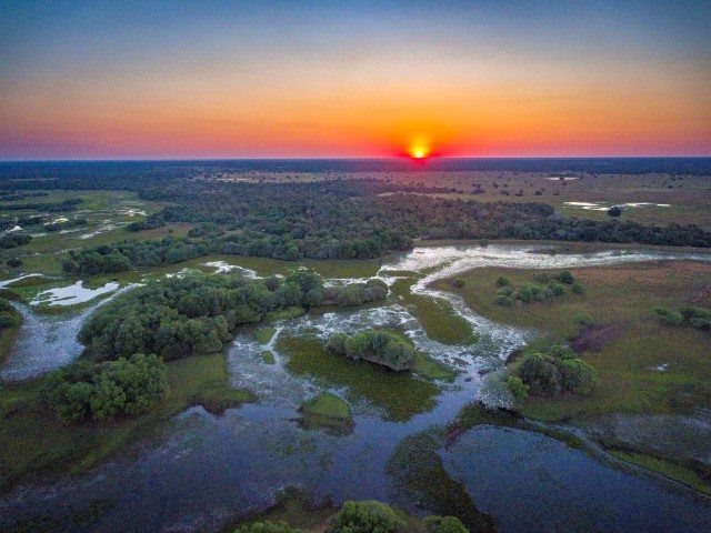 Pantanal landscape. Credit Cristian Dimitrius
