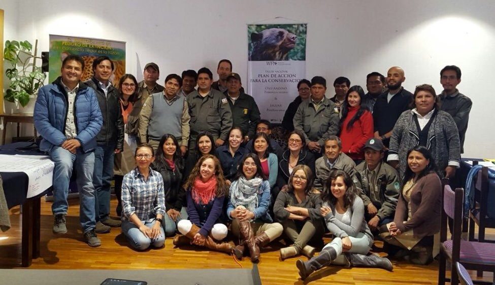 Andean bear Action Plan Group
