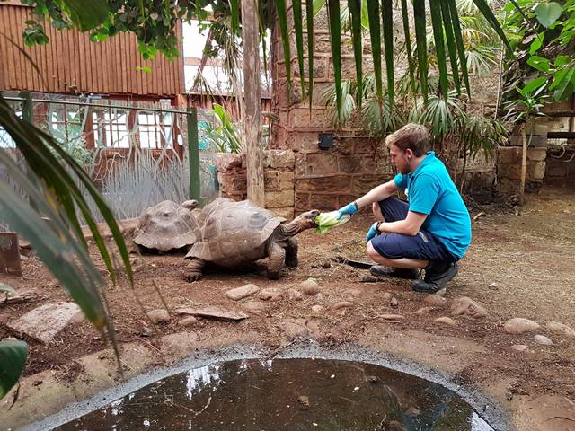 As the Reptile Intern, Jonathan also trained as a zookeeper within the Lower Vertebrates & Invertebrates Team