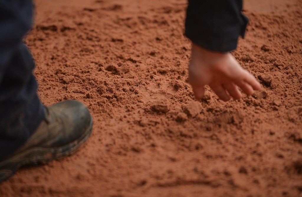Cheetah footprint in sand