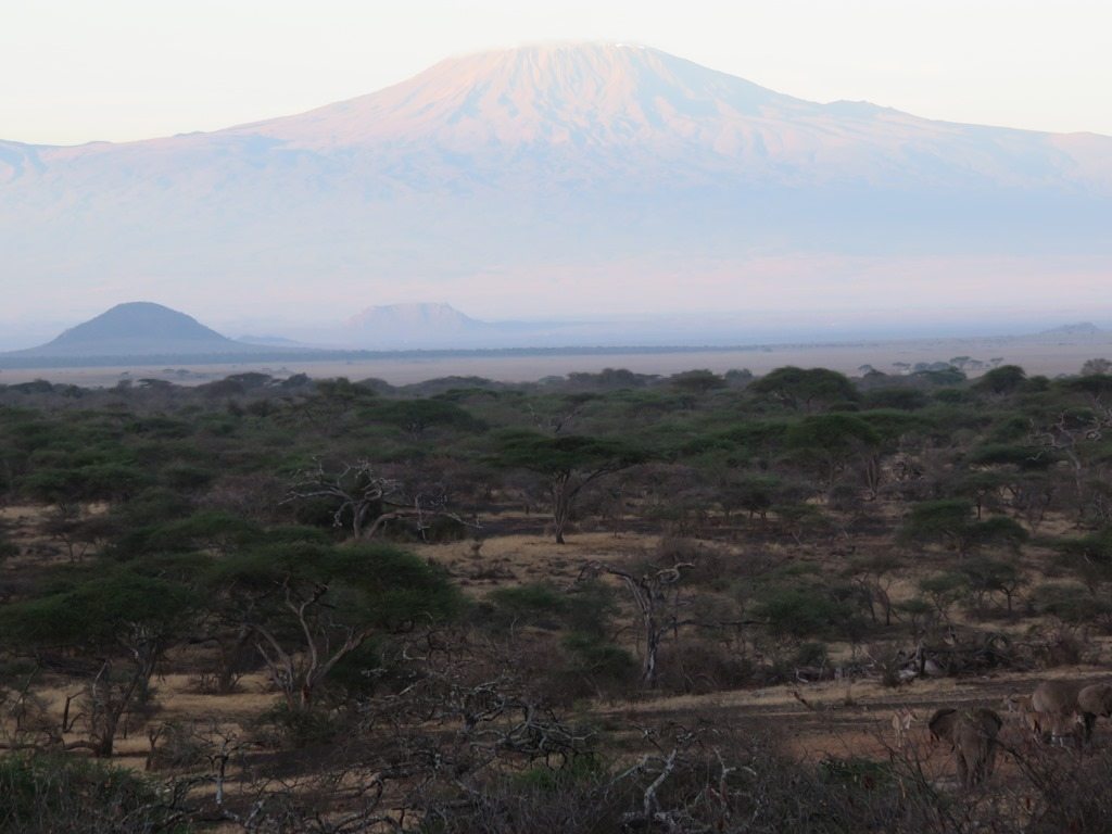 Landscape shot of Mount Kilimanjaro