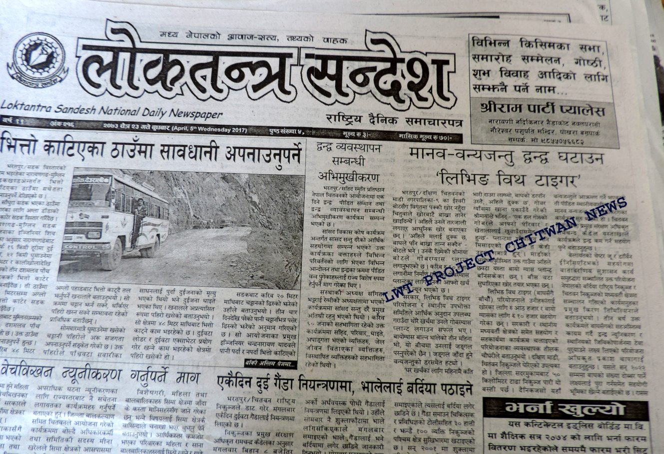 Newspaper article about living with tigers in Nepal newspaper