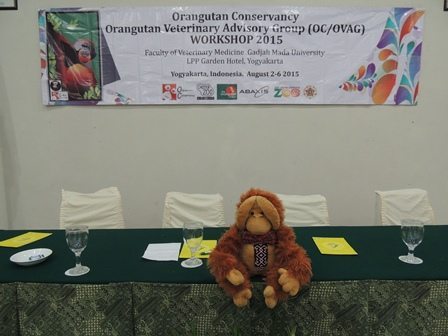 OVAG workshop, mascot