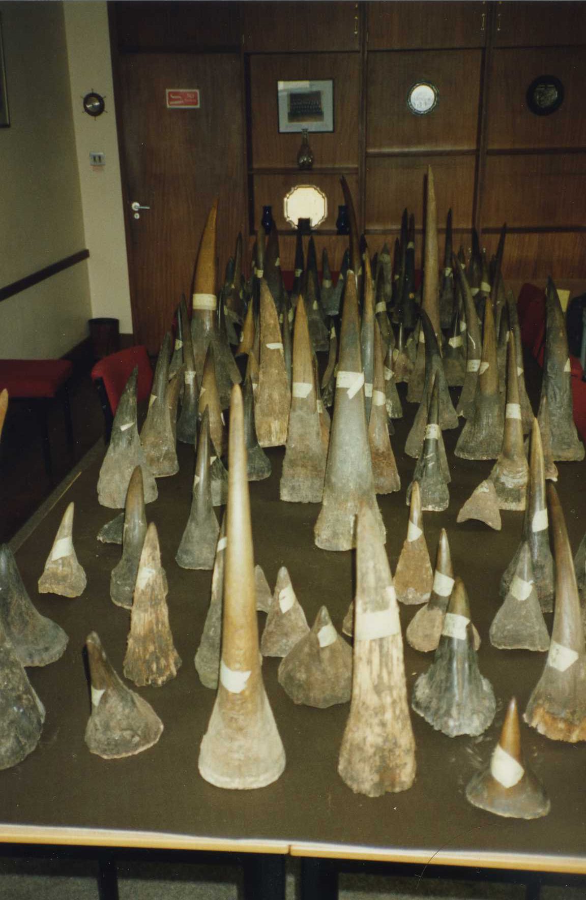 Stockpiled rhino horn (Credit TRAFFIC)