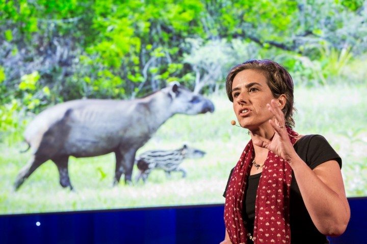 Patricia Medici speaking at TED talk