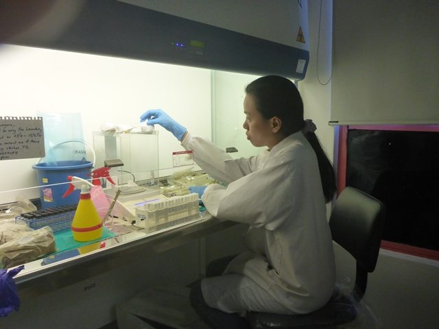 Ee Phin working in the lab