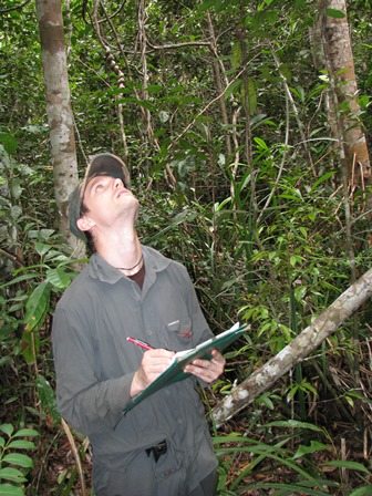 David carrying out research in Borneo. Credit: David Ehlers Smith