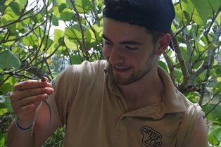 Jack Carney - Chester Zoo intern in Bermuda