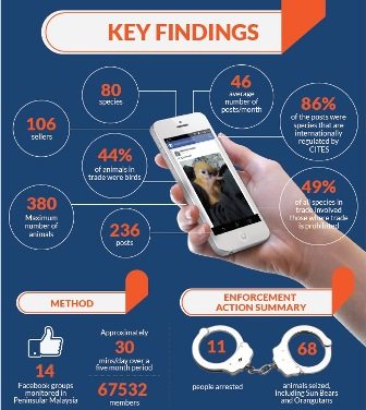 key-finding---infographic-from-traffic-(small)