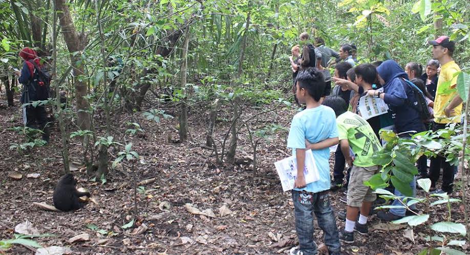 Students observing the macaques in the forest