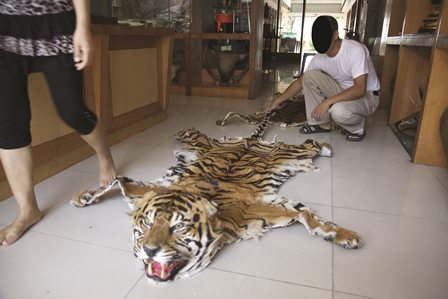 Tiger skin. Photo credit: TRAFFIC