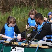 Young people volunteer to clear pennywort from the canal