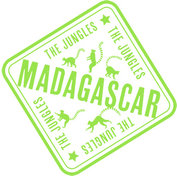 Madagascar passport stamp