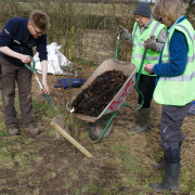 Planting an orchard