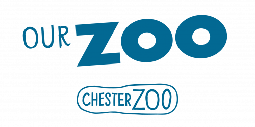 Our Zoo logo - CZ logo