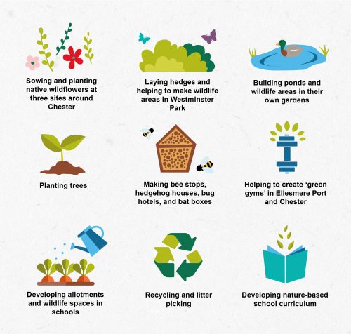 Infographic showing activities taken part in for Chester Zoo's Nature Recovery Corridor project. Including sowing and planting native wildflowers, laying hedges and building ponds.