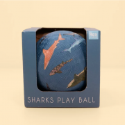 Shark play ball