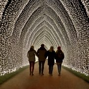 An image of four people walking through the Winter Cathedral