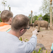 Man and young boy looking at elephant at Chester Zoo