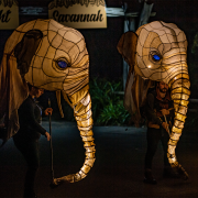 An image of two elephant lanterns at Chester Zoo