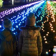 An image of two children looking at a field of light