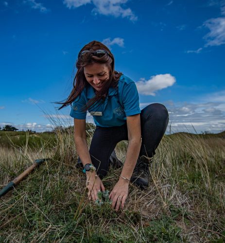 Chester Zoo's Helen Bradshaw planting sea holly in the UK