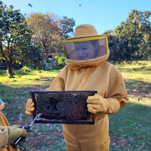 Ashleigh Marshall dressed in a yellow beekeeping outfit, holding part of a beehive swarming with bees