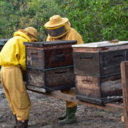 Brazil field trip 2023 beekeepers