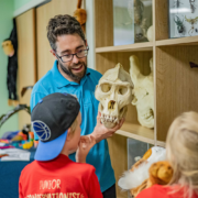 A Zoo Ranger showing an animal skull to a group of young children