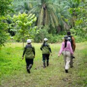 Team walking through rainforest in Borneo