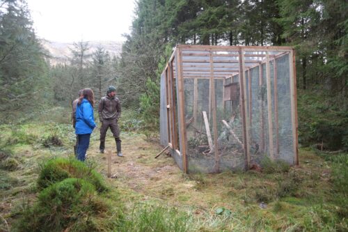 Showing some visitors of the project the soft release pens, where we housed and monitored the pine martens before release