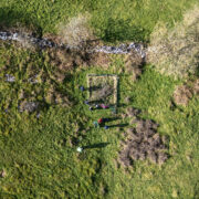 Cotoneaster replanting in Wales drone
