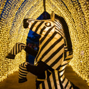 Someone dressed as a zebra posing in a light tunnel