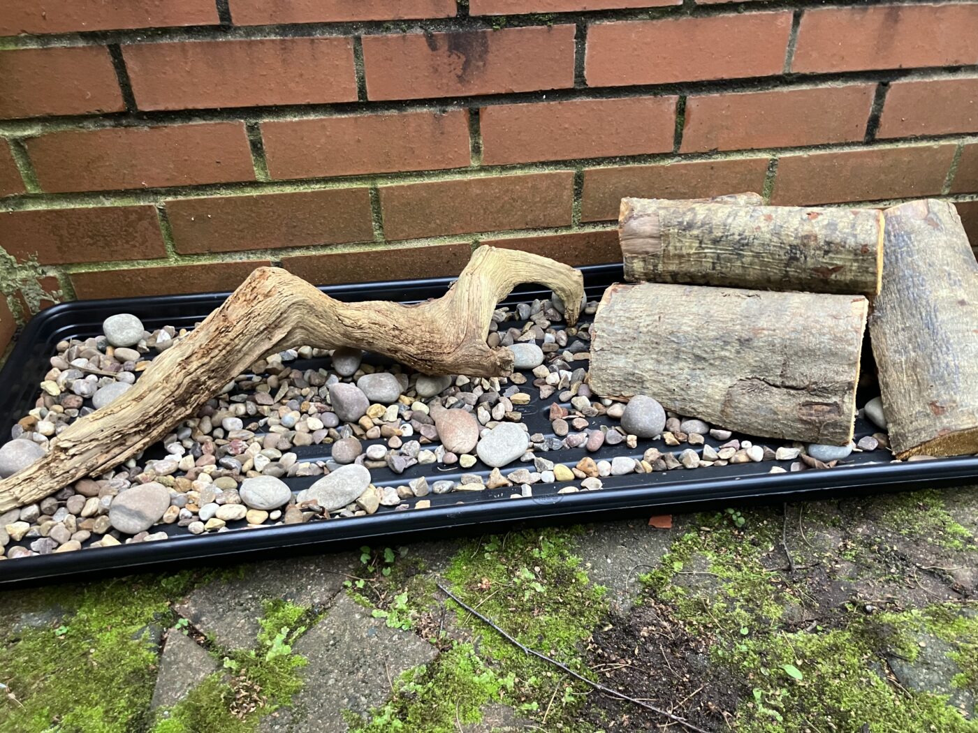 A tray with gravel and logs in