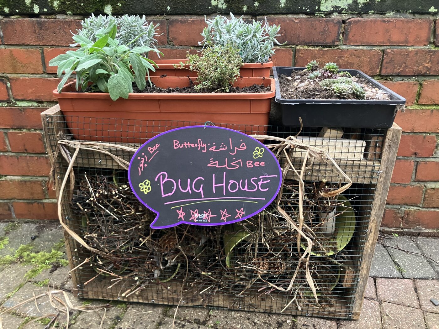 A bug hotel made from a wooden pallet, sticks and leaves. A purplse sign on frint reads 'Bug Hotel'