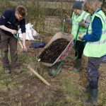 While a Chester Zoo member of staff holds a sapling stable, a volunteer is preparing to refill the new hole with fresh soil.