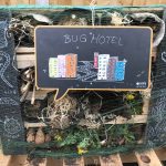 A bug hotel pictured at Lache primary school