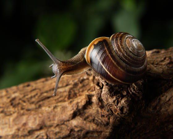 Adobestock 458690332