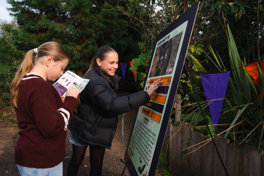 Halloween Trail 2026 20