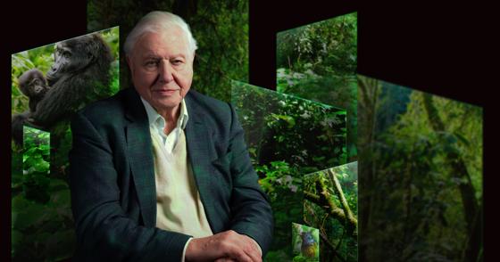 CROPPED Our Story With David Attenborough ART NO TEXT (C) Trustees Of The Natural History Museum