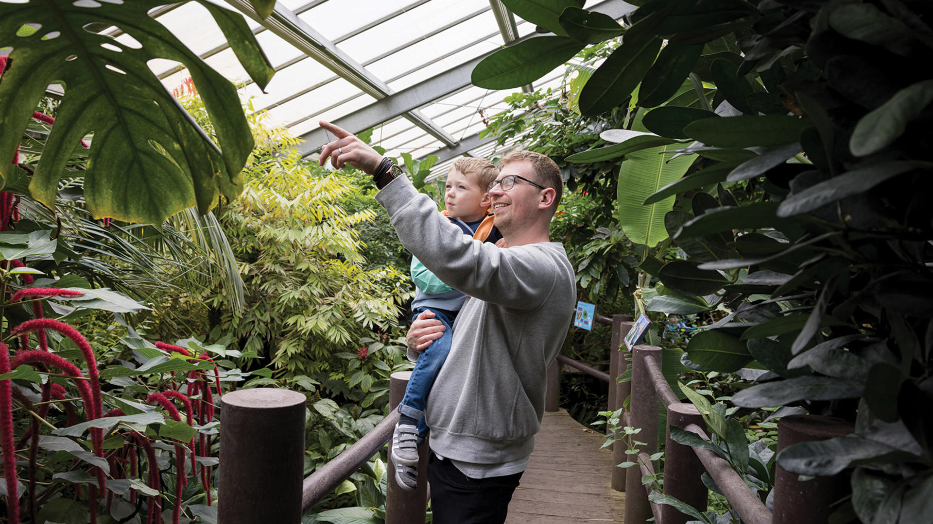 Dad And Son Inside Butterfly House