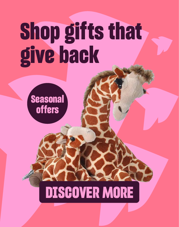 2026-giftshop-01