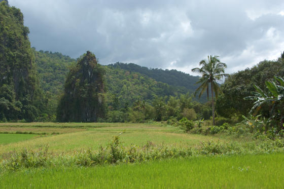 Vyacheslav Argenberg Philippines Palawan CC4