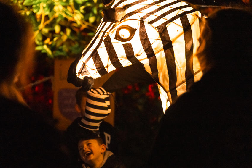 Emily Ryan Lanterns & Light 2025 013