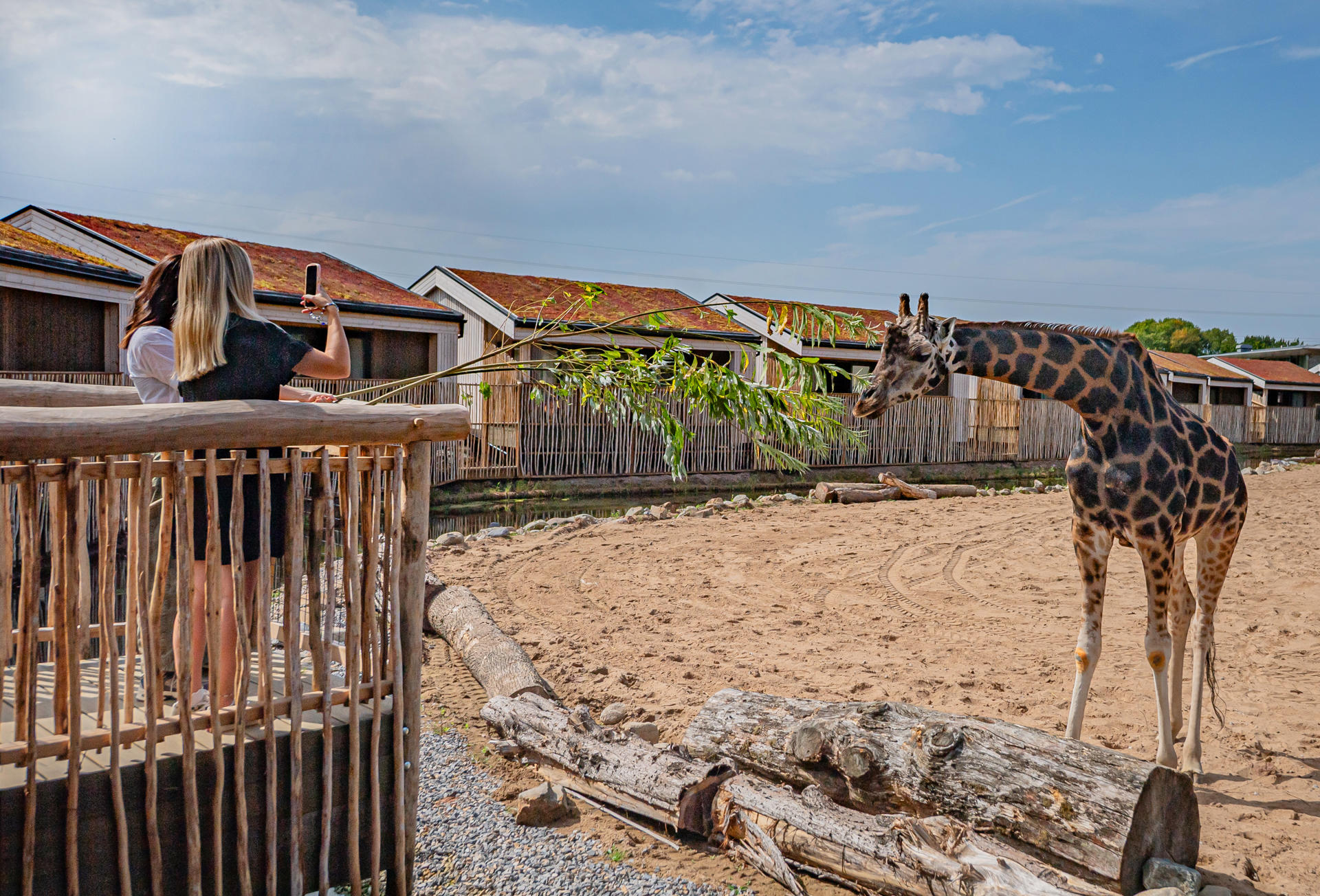 !The Reserve At Chester Zoo Is Set To Welcome Its First Guests This August17