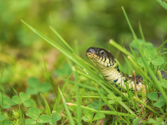 Adobestock 489912294