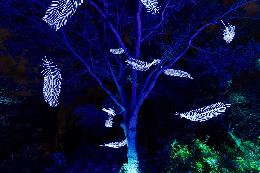 Light As A Feather (2)