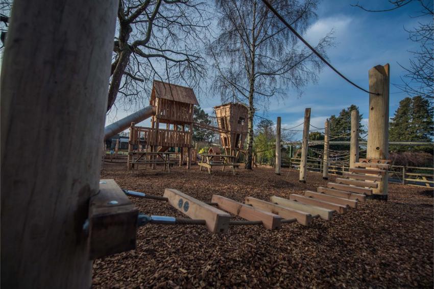 Wildlife Wood 3