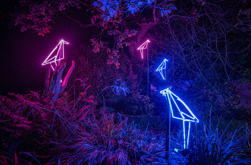 Lanterns25 22