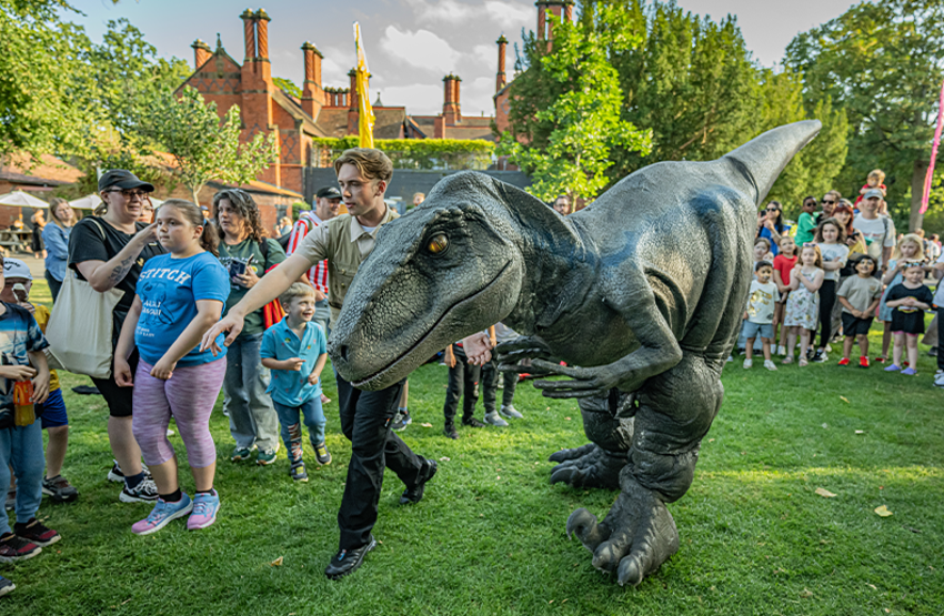Dinosaur Small
